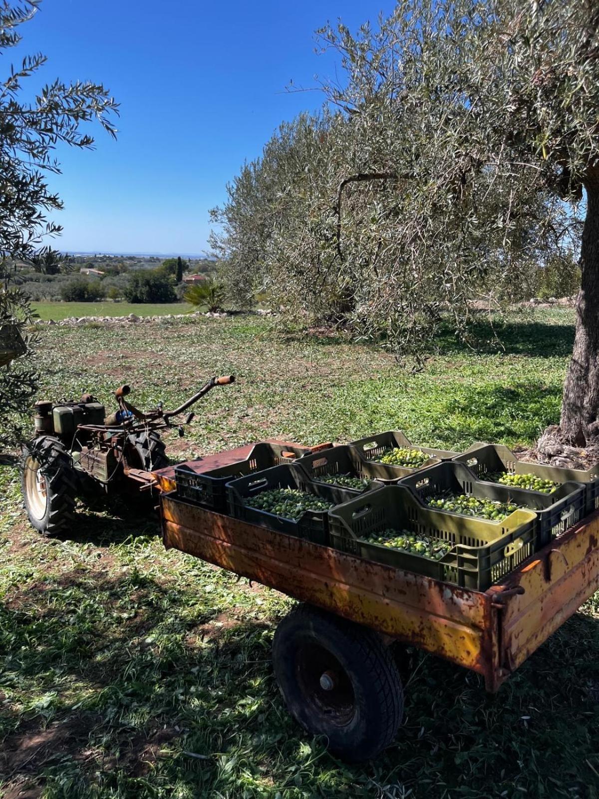 La Bella Vita Agriturismo Chiaramonte Gulfi Extérieur photo